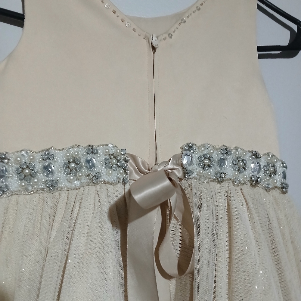Chantilly Place Girls Long Elegant Sleeveless Dress. Size 6 - Picture 11 of 16